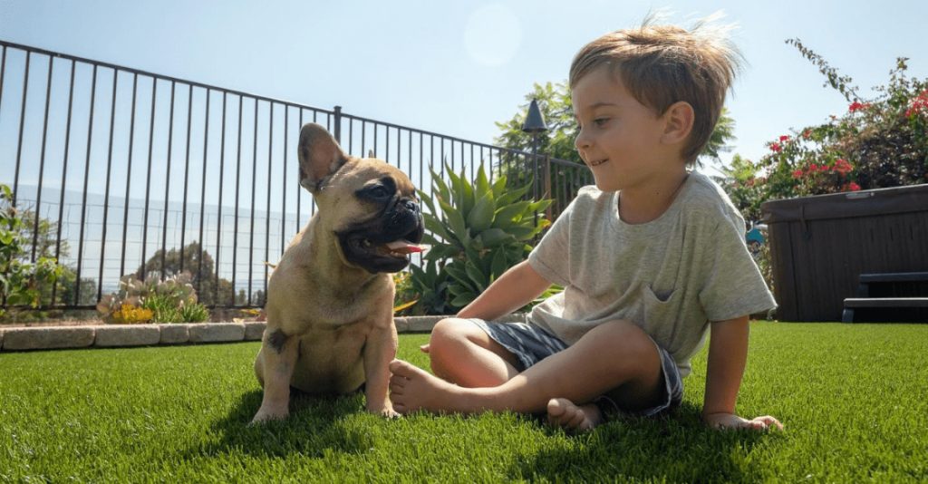 Dog and child playing on USTurf artificial grass