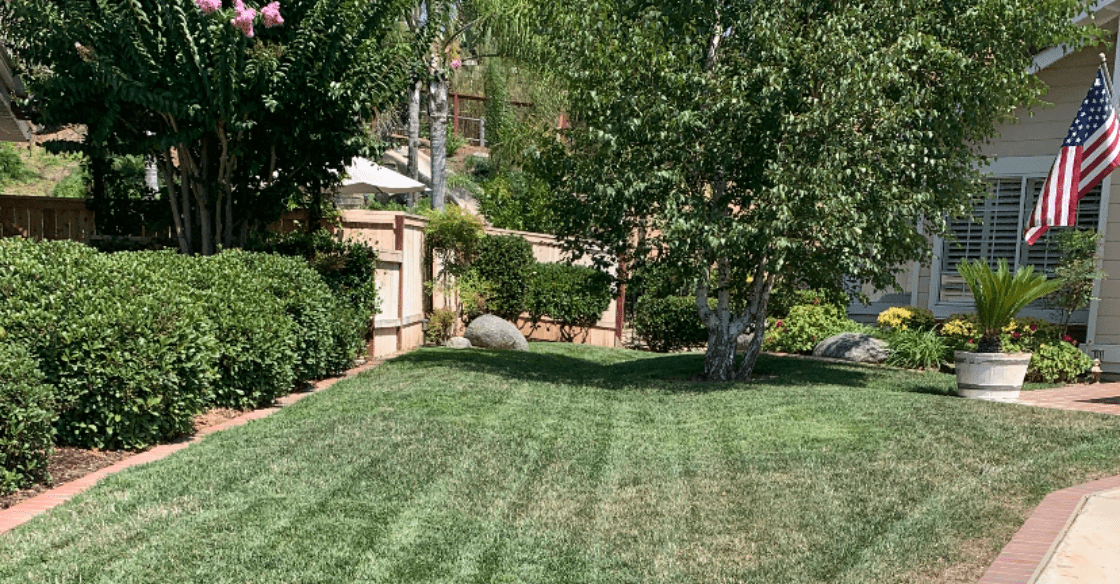 Bill's yard before US Turf