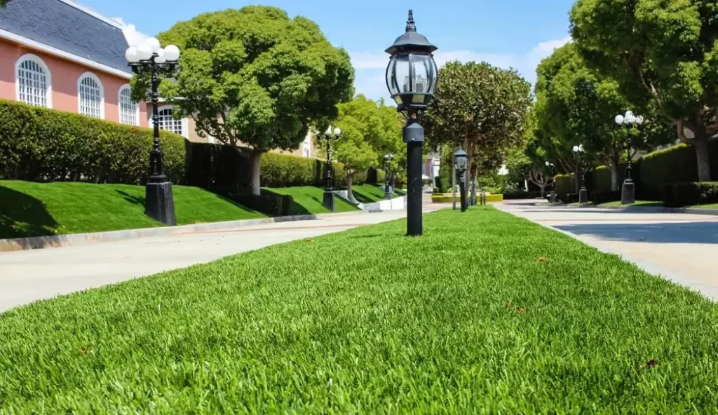 Artificial grass in a sidewalk