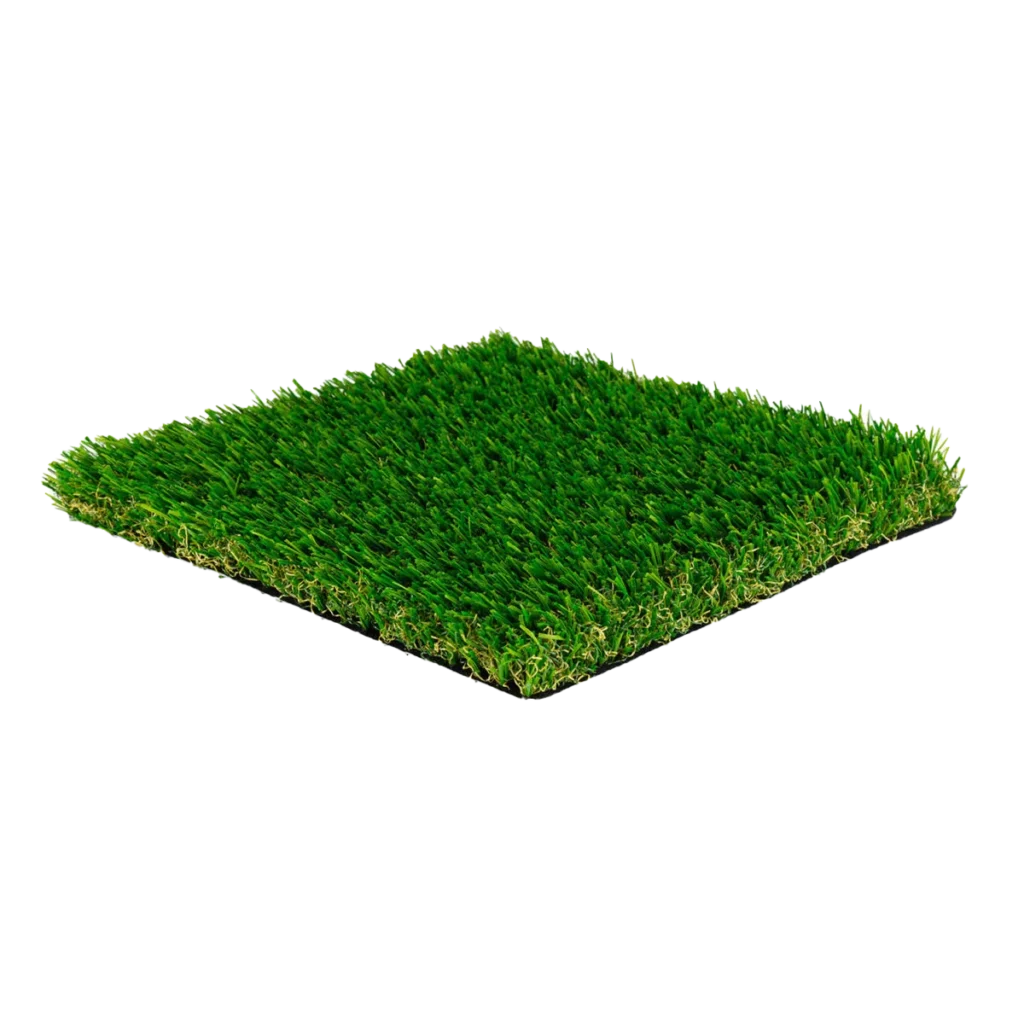 Mohave Blend turf