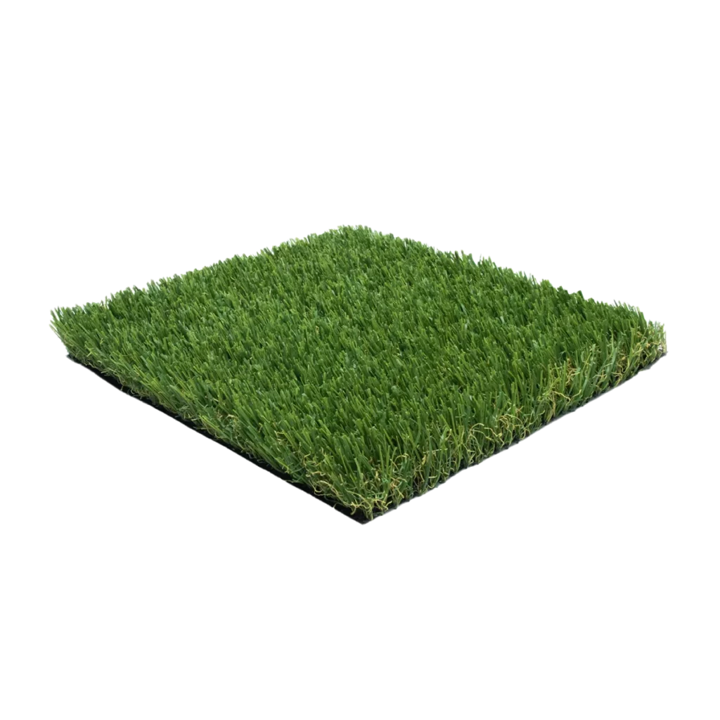 Pacific Blend turf